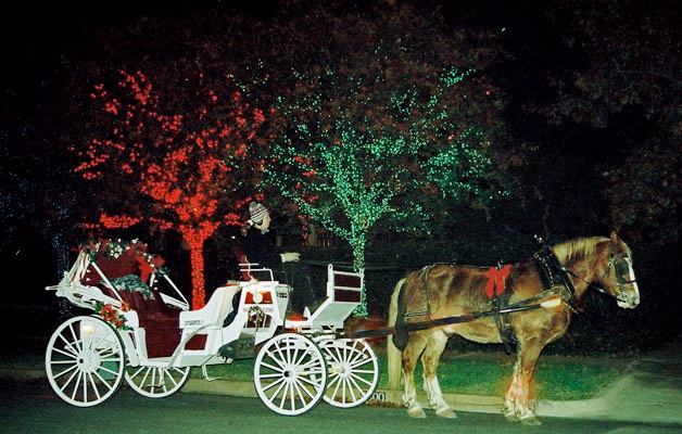horse drawn carriage the yes girls